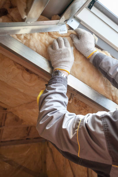 Best Insulation for Specific Applications in Lahaina, HI