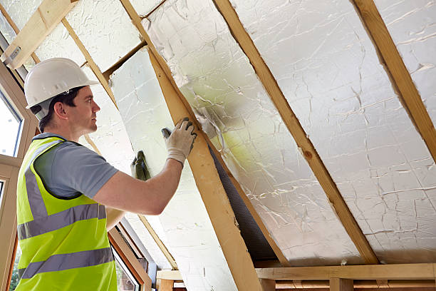 Best Commercial Insulation in Lahaina, HI