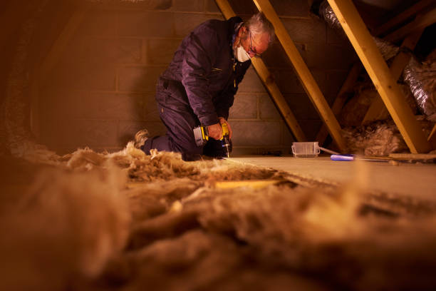 Best Insulation for Specific Applications in Lahaina, HI